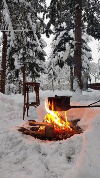 Willa Misha'S House Porumbacu de Sus Zewnętrze zdjęcie