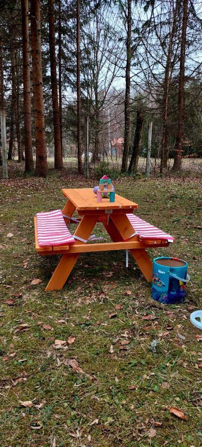 Willa Misha'S House Porumbacu de Sus Zewnętrze zdjęcie