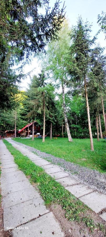 Willa Misha'S House Porumbacu de Sus Zewnętrze zdjęcie