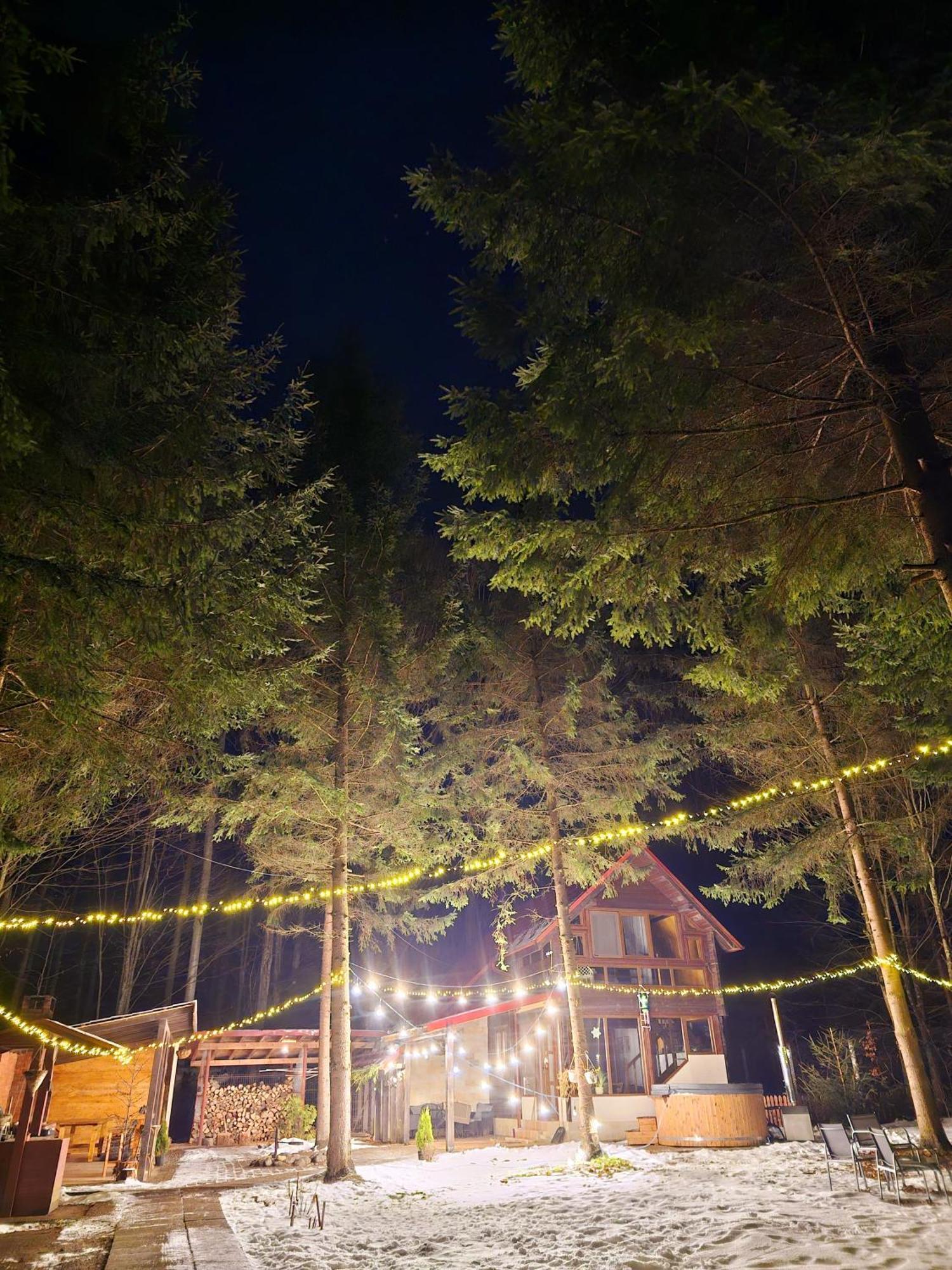 Willa Misha'S House Porumbacu de Sus Zewnętrze zdjęcie
