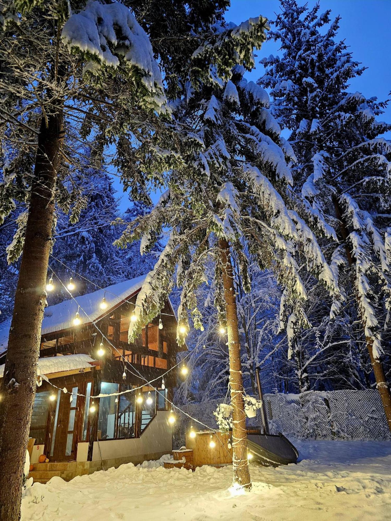 Willa Misha'S House Porumbacu de Sus Zewnętrze zdjęcie