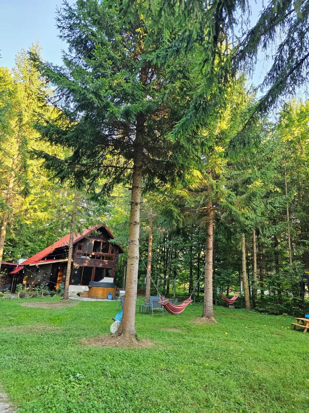 Willa Misha'S House Porumbacu de Sus Zewnętrze zdjęcie