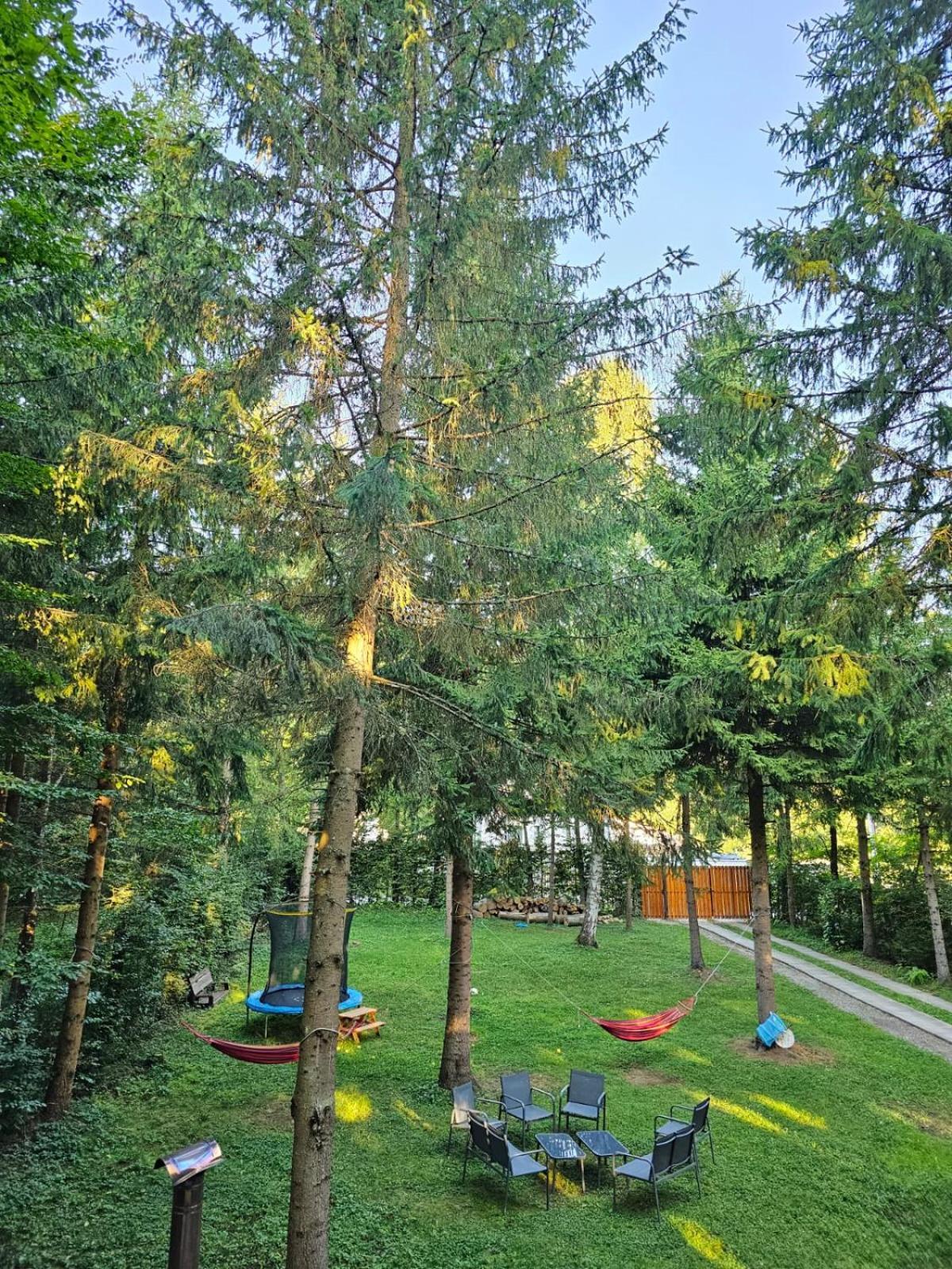 Willa Misha'S House Porumbacu de Sus Zewnętrze zdjęcie