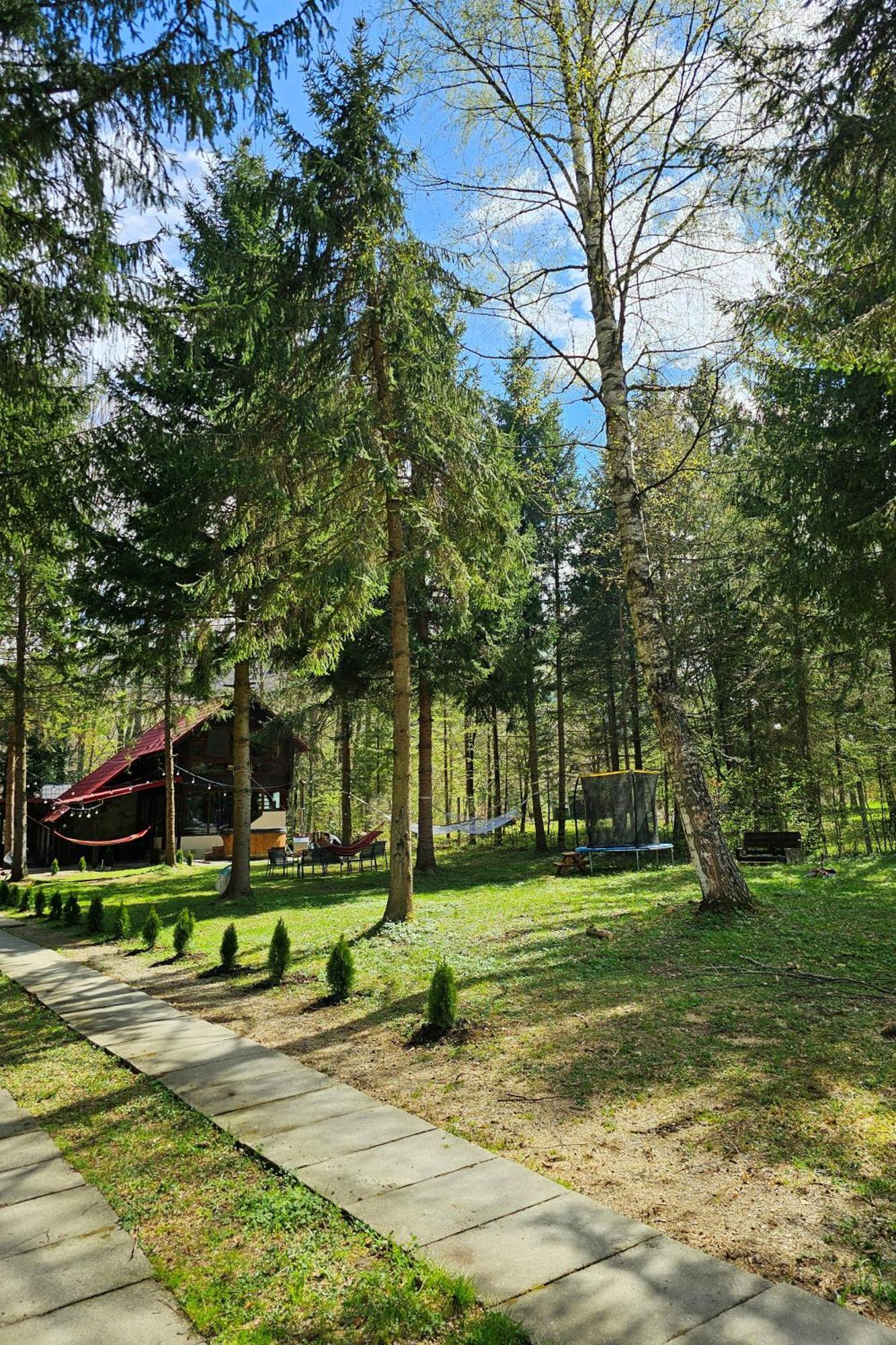 Willa Misha'S House Porumbacu de Sus Zewnętrze zdjęcie